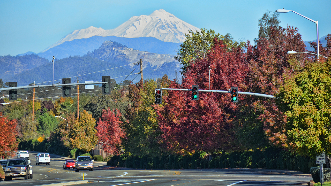 The Shasta view ReallyRedding