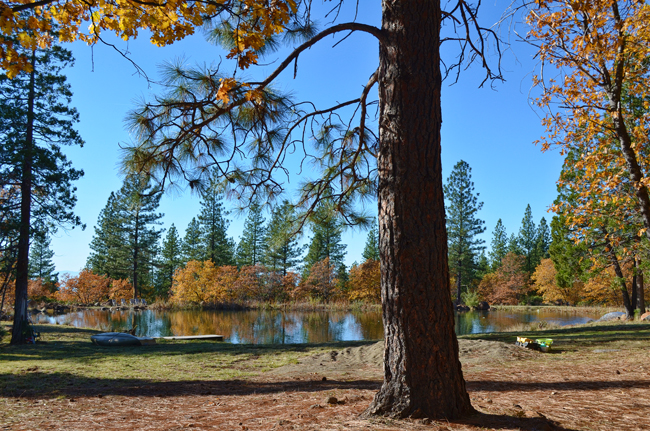 Cedar Crest grounds in Manton California