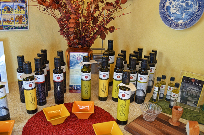 Lucero Olive Oil tastings in Manton California