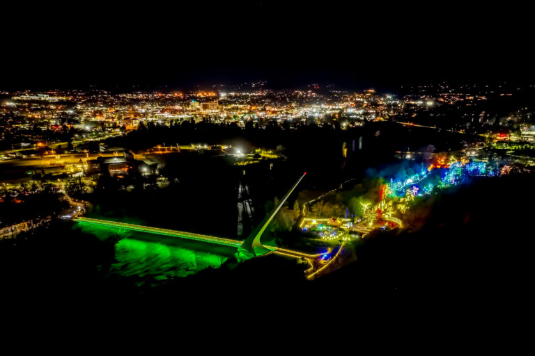 Garden of Lights at night video by Skip Murphy