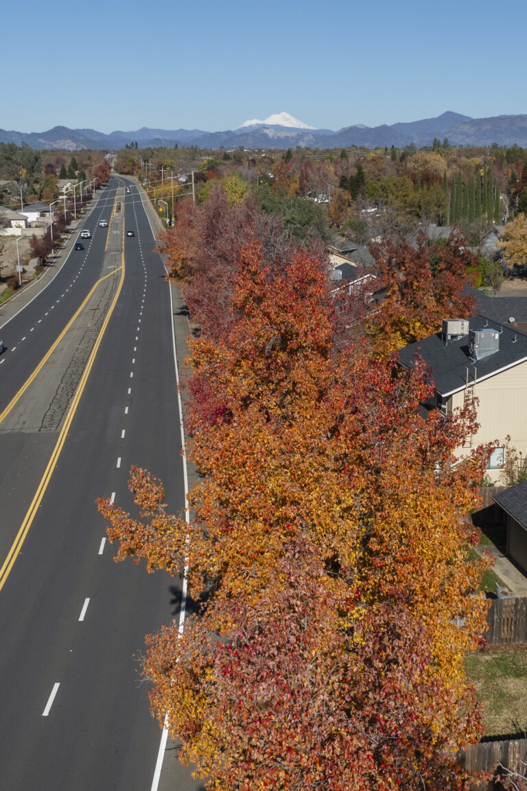 Beautiful fall colors on the trees looking at MtShasta in the distance from Shasta Vew Drive in Redding CA